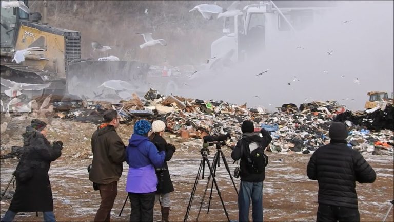 Brantford Landfill Site