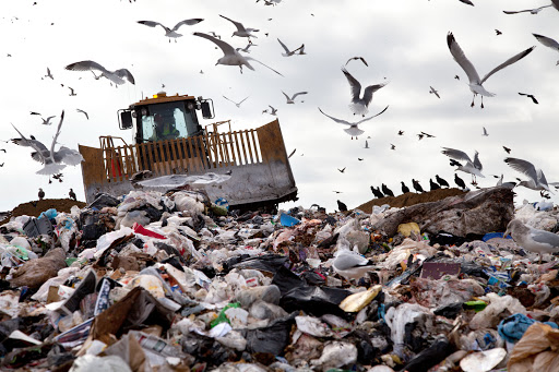 Edmonton Dump