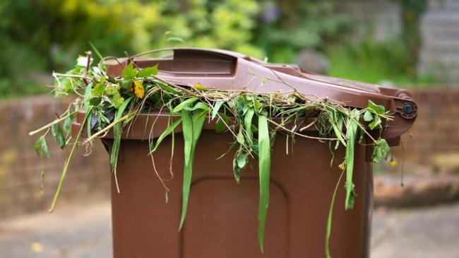 Garden Waste Collection Woking